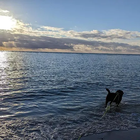 5 Star In Blåvand